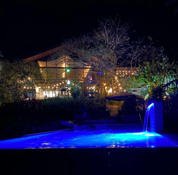 The pool lit up at night under the jungle canopy